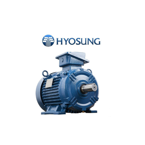 Động Cơ Điện Hyosung 0.75KW Hàn Quốc